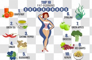 Weight Loss Abdominal Obesity Food High-protein Diet Eating - Highprotein - Health Transparent PNG