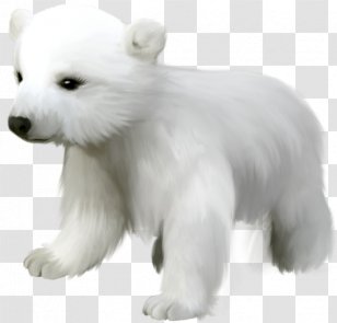 Polar Bear Clip Art - Pizzly - Cute Small Clipart Transparent PNG