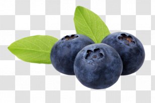 Blueberry Auglis Food Anthocyanin Fruit - Aedmaasikas - Delicious Transparent PNG