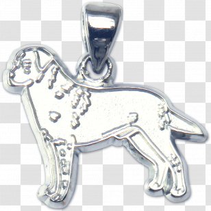 Charms & Pendants Labrador Retriever Charm Bracelet Gold Silver - Jewellery Transparent PNG