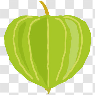 Icon - Green Fruit Illustration Transparent PNG