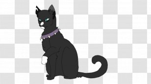 Kitten Black Cat Whiskers Dog - Fiction Transparent PNG