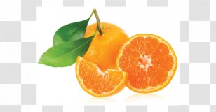 Clementine Mandarin Orange Tangerine Rangpur Tangelo - Lemon - Jeju Island Transparent PNG