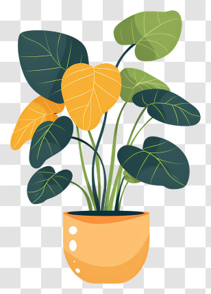 Houseplant - Yellow And Green Leafed Potted Plant Transparent PNG