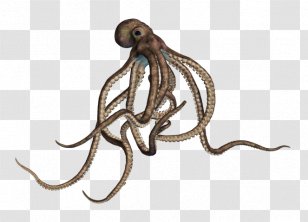 Octopus Cartoon - Giant Pacific Drawing Transparent PNG