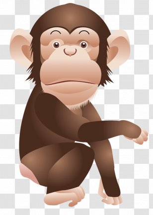 Chimpanzee Monkey Ape Clip Art - Vertebrate Transparent PNG