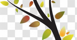 Tree Abstraction - Petal Transparent PNG