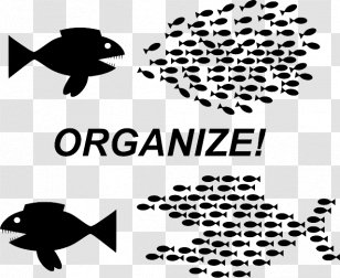 Fish Organization Clip Art Transparent PNG