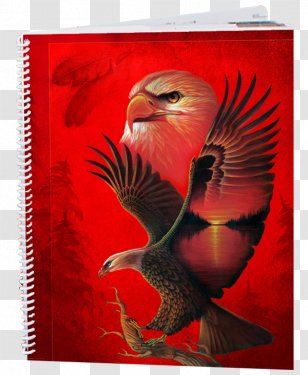 Bird Beak Sacred - Paint Smudge Transparent PNG
