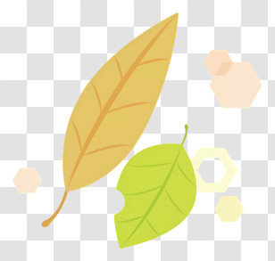 Cartoon - Yellow And Green Leaves Illustration For Autumn Vibes Transparent PNG