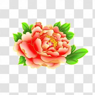Floral Design Transparent PNG