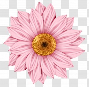 Facebook Desktop Wallpaper Clip Art - Avatar - Yellow Flowers Transparent PNG