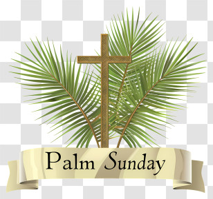 Palm Sunday - Palm Sunday Celebration With Cross And Leaves Transparent PNG