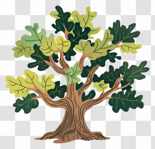 Oak Tree - Artistic Cartoon Tree With Lush Green Leaves Transparent PNG