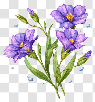 Wildflowers With Dew Drops - Fresh Purple Flowers With Dew Drops Transparent PNG