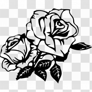 Rose Cdr Clip Art - Brown Stripes Transparent PNG