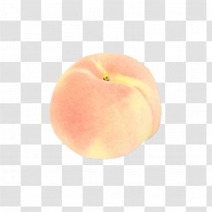 Rose Cartoon - Apple - Drupe Order Transparent PNG
