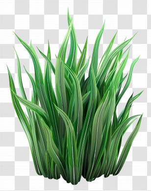 Grass Plant - Bright Green Grass For Spring Gardens Transparent PNG