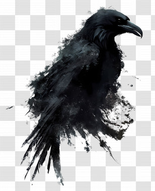 Raven Gothic - Artistic Raven Illustration In Dark Style Transparent PNG