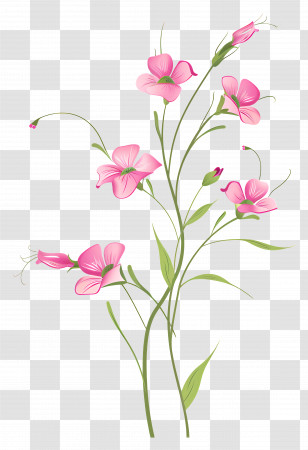 Pink Flowers - Artistic Pink Delicate Flowers Illustration Transparent PNG