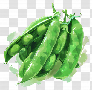 Snap Peas - Green Pea Pods Artwork Transparent PNG
