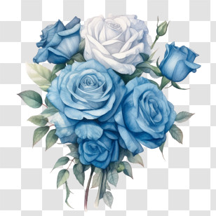 Blue Rose - Blue And White Rose Bouquet Illustration Transparent PNG