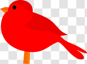 European Robin Common Blackbird Birds House Sparrow Beak Transparent PNG