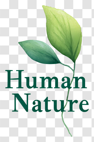 Human Nature Logo - Human Nature Green Leaf Logo Transparent PNG