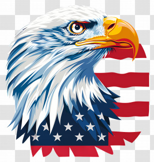 Independence Day - American Bald Eagle With Flag Illustration Transparent PNG