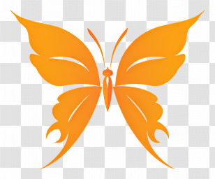 Simple Design - Elegant Orange Butterfly Design Transparent PNG
