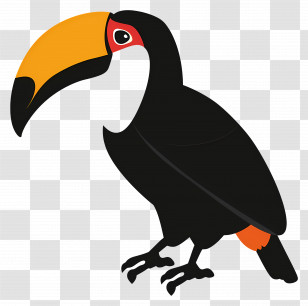 Toucan - Toucan In Cartoon Style Art Transparent PNG