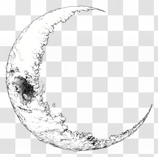 Moon Outline - Detailed Crescent Moon Sketch Transparent PNG