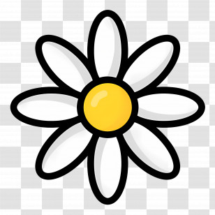 Daisy Flower - Adorable Cartoon Daisy Flower Illustration Transparent PNG