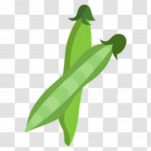 Green Peas - Green Pea Pods Illustration Transparent PNG