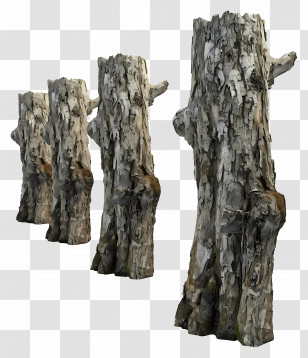 Tree Trunk - Row Of Tree Stumps Transparent PNG
