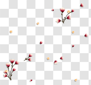 Flowers In The Air - Falling Petals In The Air Transparent PNG