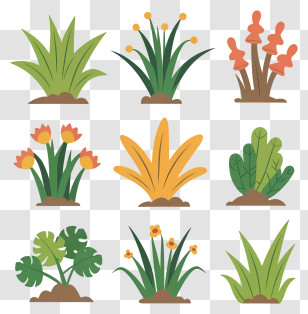 Floral Plants - Varieties Of Plants Illustrated In Flat Design Transparent PNG