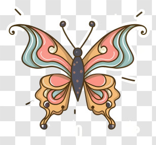 Butterfly - Stylized Decorative Butterfly With Unique Art Pattern Transparent PNG