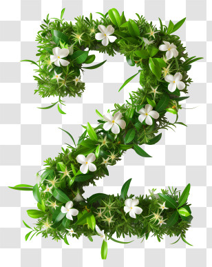 Number 2 Flowers - Number 2 Illustrated With Leaves And Flowers Transparent PNG