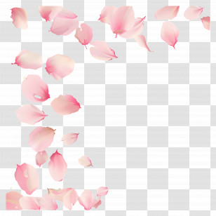 Falling Flowers - Pink Flower Petals Scattered For Decorative Use Transparent PNG