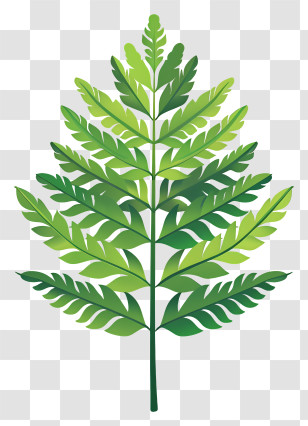 Green Fern Leaf - Green Fern Leaf Illustration Transparent PNG