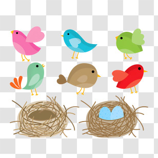 Birds - Cute Colorful Birds With Nests And Eggs Cartoon Illustration Transparent PNG