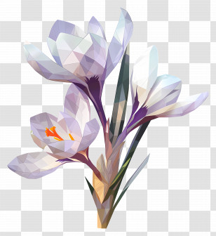 Digital Flower - Polygonal Purple And White Crocus Illustration Transparent PNG