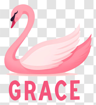 Grace Swan - Graceful Pink Swan Illustration Transparent PNG
