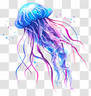 Jellyfish - Blue And Purple Jellyfish Floating Elegantly Transparent PNG