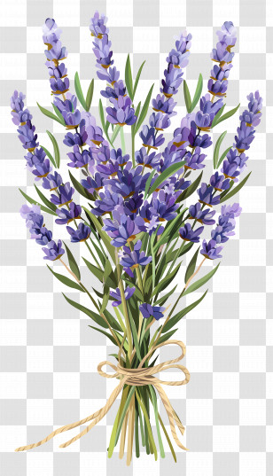 Lavender Flowers - Beautiful Lavender Bouquet With Purple Blooms Transparent PNG