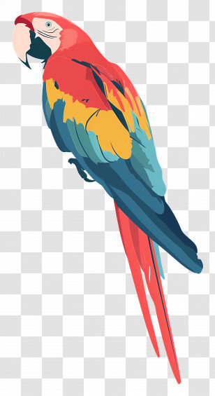 Macaw - Colorful Parrot In Tropical Style Transparent PNG