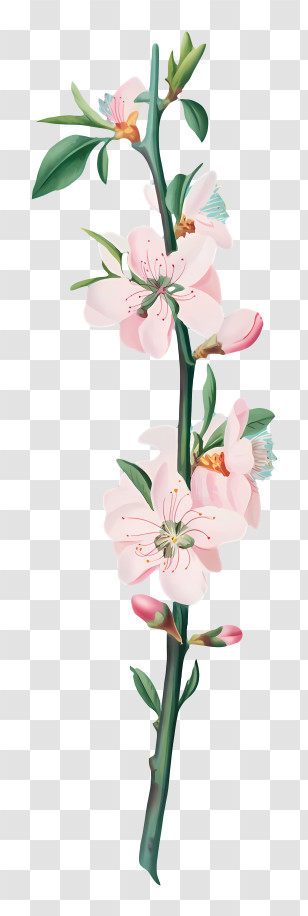 Flowering Tree - Flower Branch With Blossoms Transparent PNG
