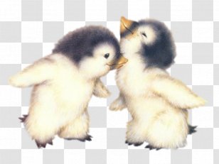 Penguin GIF Greeting & Note Cards Image Love - Animation Transparent PNG