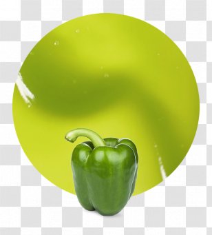 Yellow Pepper Bell Vegetable PurÃ©e Fruit Transparent PNG
